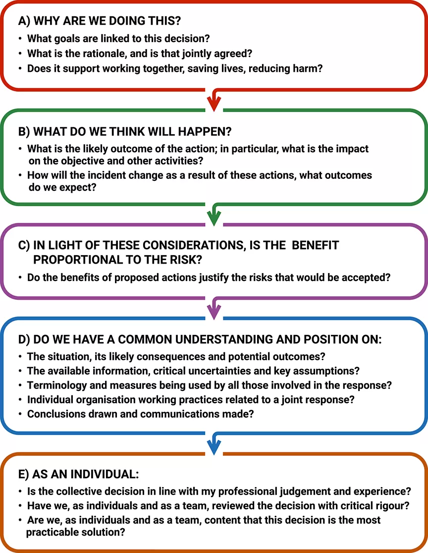 Decision Controls – Accessible version